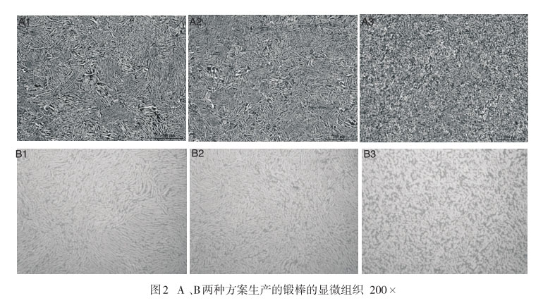 A 、B兩種方案生產(chǎn)的鍛棒的顯微組織